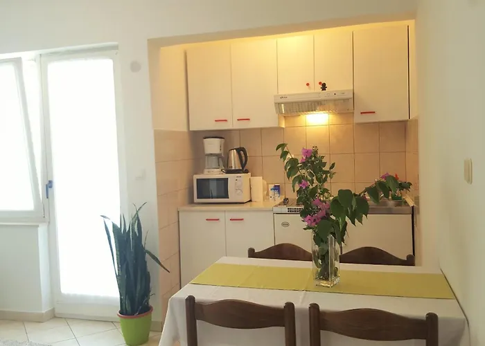 Apartments Vojin