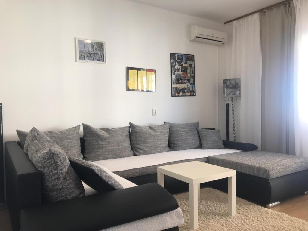 Apartment Vojin *