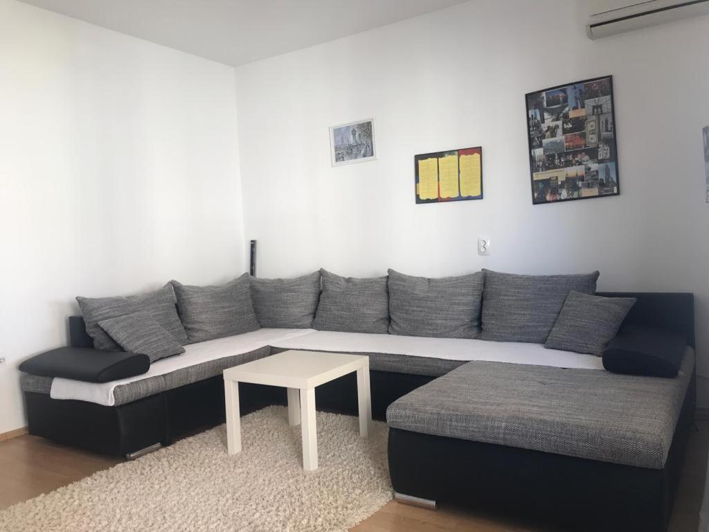 Apartment Vojin *