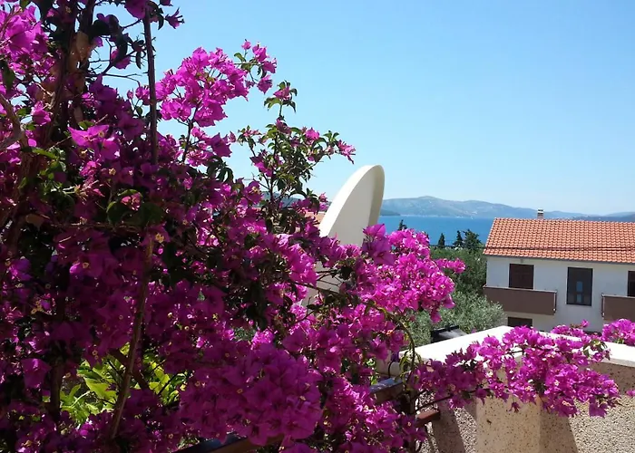 Apartments Vojin