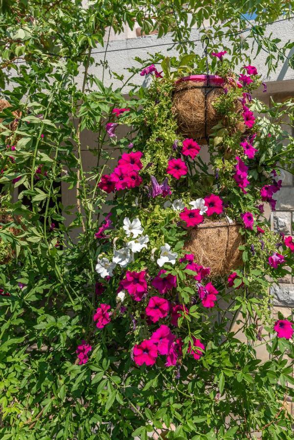 Apartma Vojin Trogir